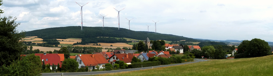 Rettet den Wollenberg!