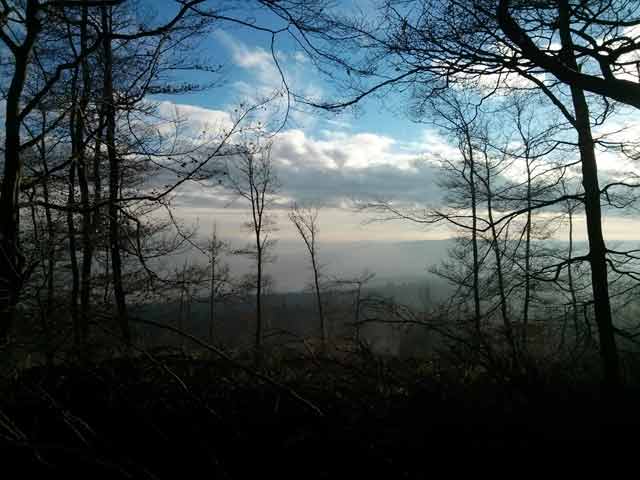 Offener Brief an die Bürgermeister von Lahntal und Wetter