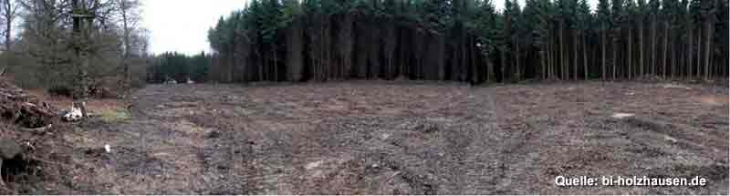 Windkraft-Bonanza am Hilsberg