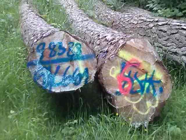 Vorgesehener Windparkbetreiber in großer Not