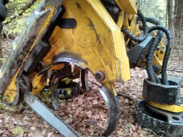 Abenteuerliche Argumentation: BUND-Kreisverband fordert Windpark