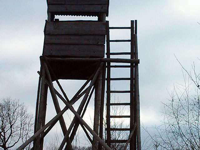 BI-Stellungnahme zur Avifauna liegt vor
