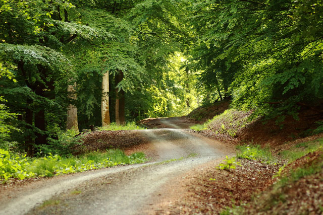 Bleibt der Wollenberg windkraftfrei?