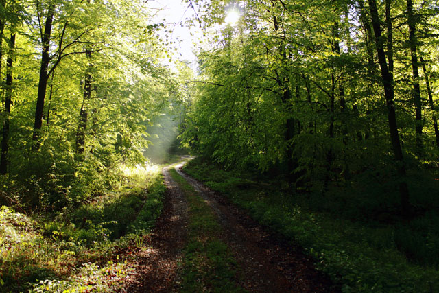 Ausschuss der Regionalversammlung beschließt: Wollenberg bleibt windkraftfrei!