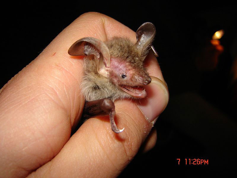 UPDATE: BI-Stellungnahme zum Teilregionalplan (Entwurf)