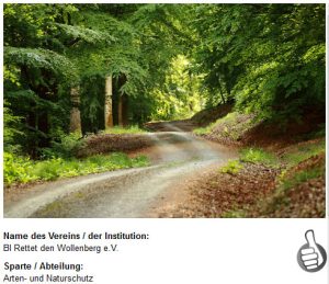 Cooles Fledermausprojekt: Bitte votet für uns!