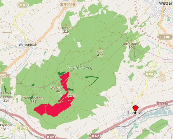 Künftige Naturzschutz-Kernflächen im Wollenberg [Update]