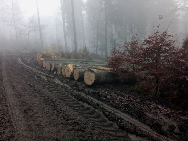 FFH-Managementmaßnahmen: Der Bock als Gärtner?