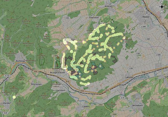BI legt Jahresbericht zu Fledermausvorkommen im Wollenberg vor