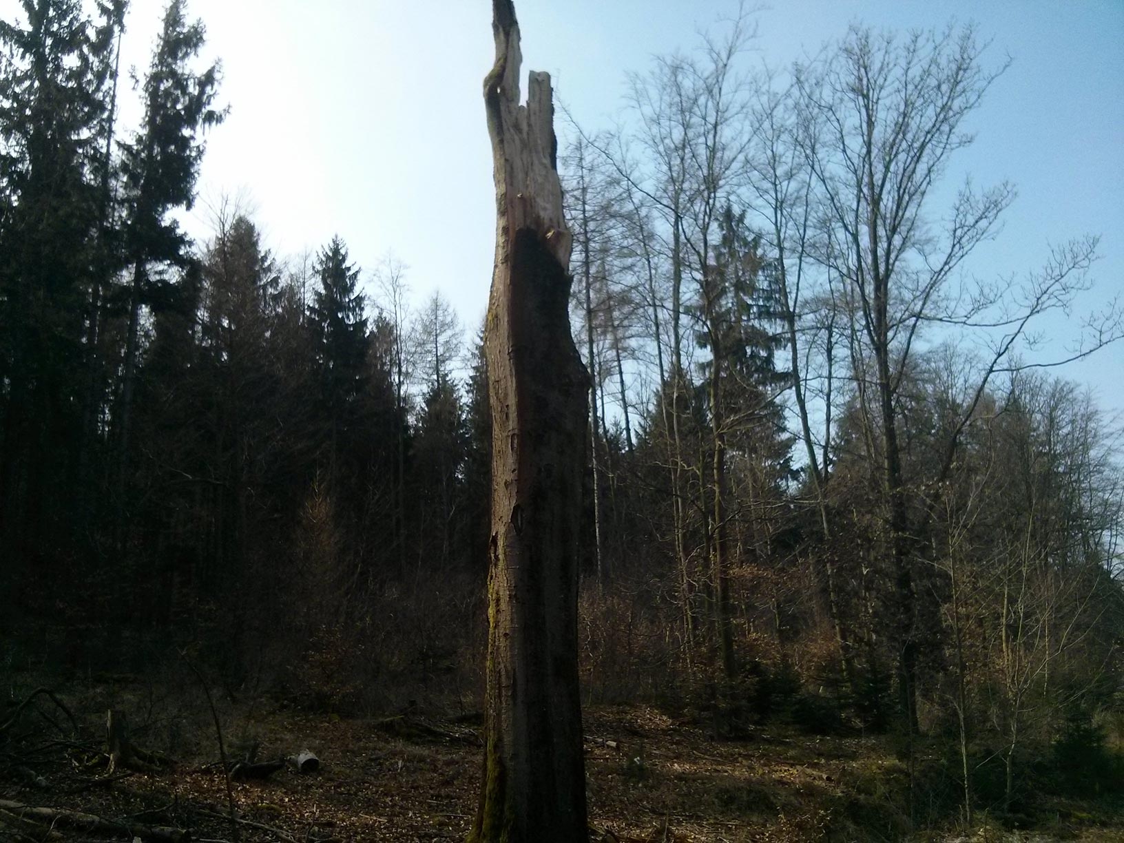 Einladung zur Jahreshauptversammlung 2018