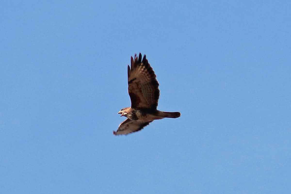 Einladung zur Jahreshauptversammlung 2019