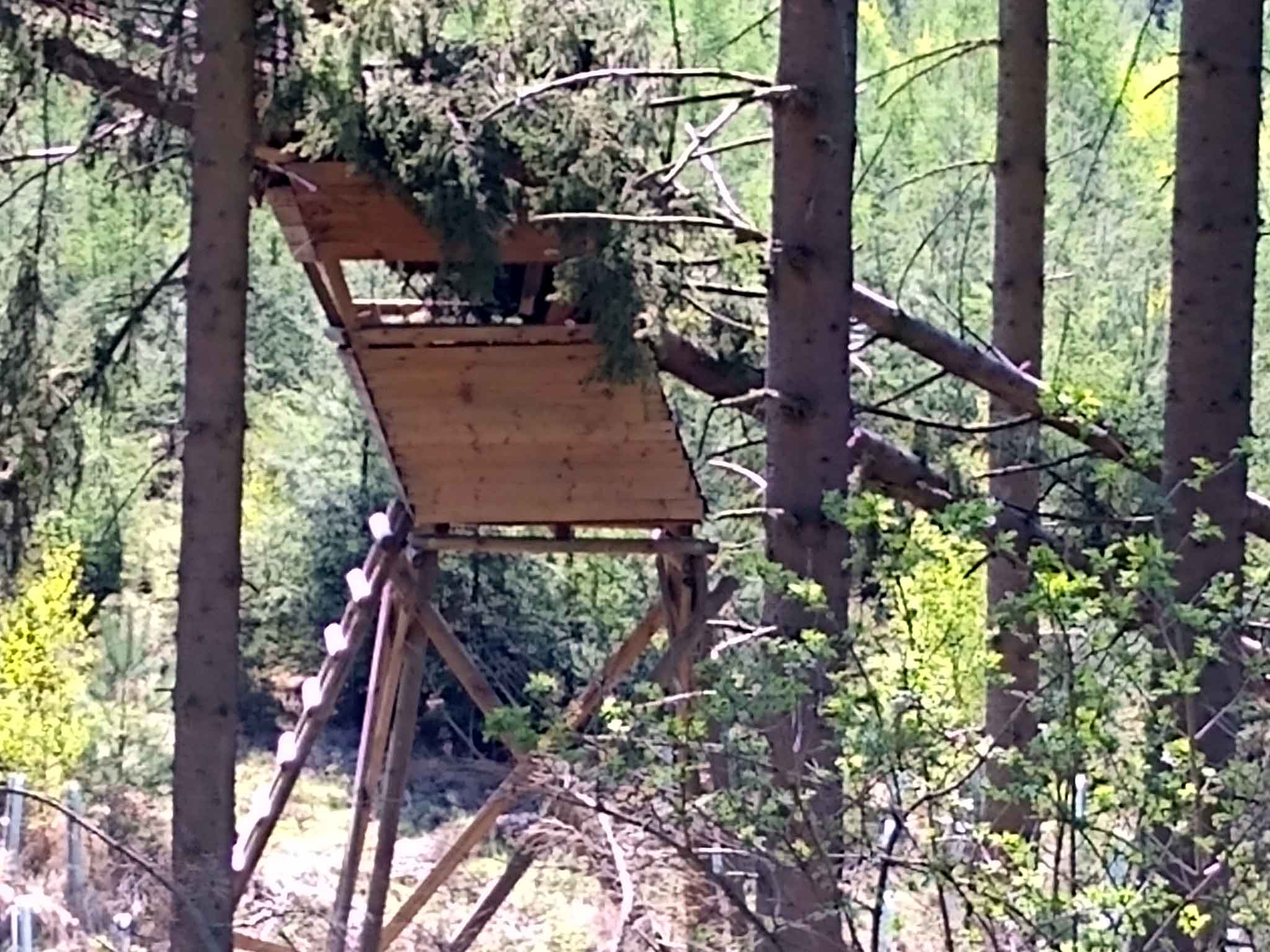 Neue Diskussionen um Windkraft im Wollenberg
