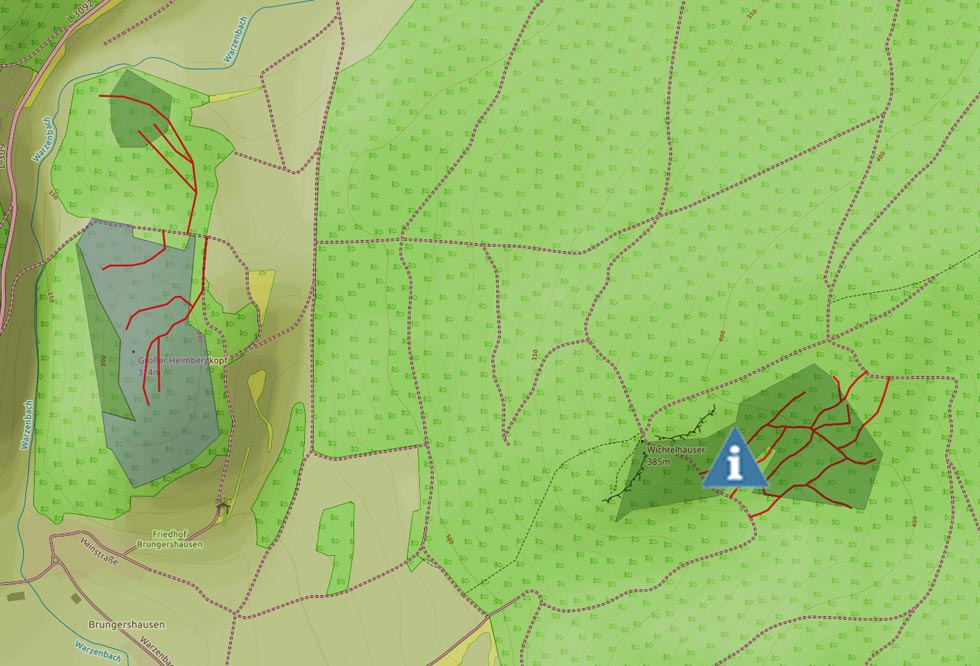 Kein Funkmast im Wollenberg