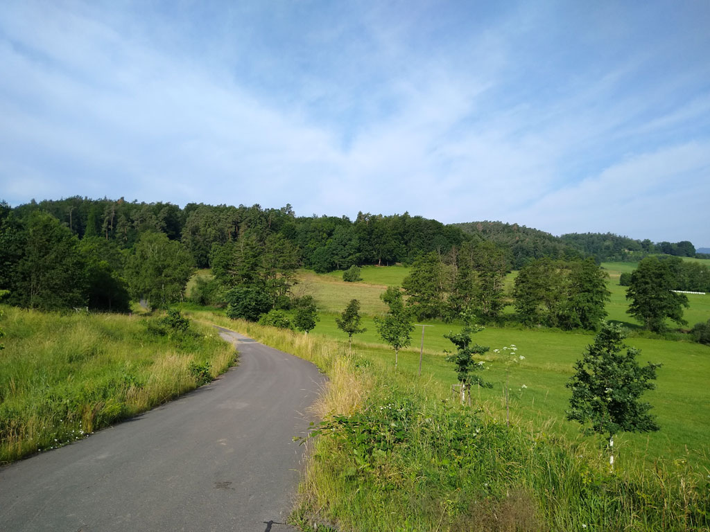 Durchwachsene Antworten: Nachtrag zu B252 neu und Bechsteinfledermaus