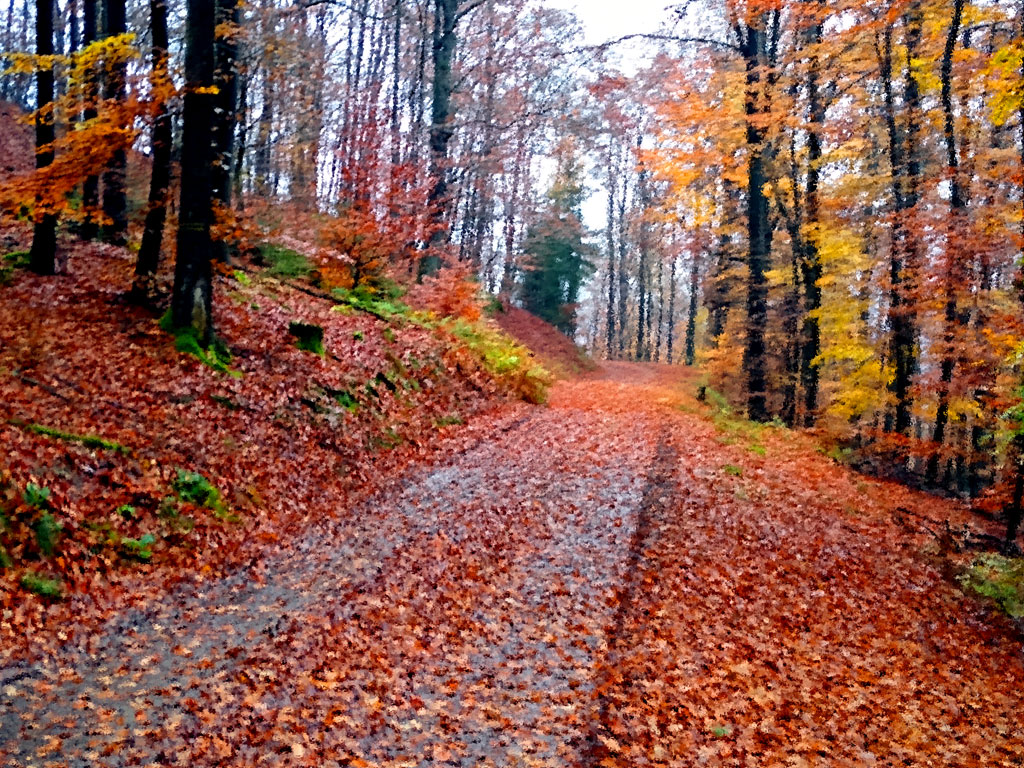 Abgesagt: Einladung zur Jahreshauptversammlung 2021