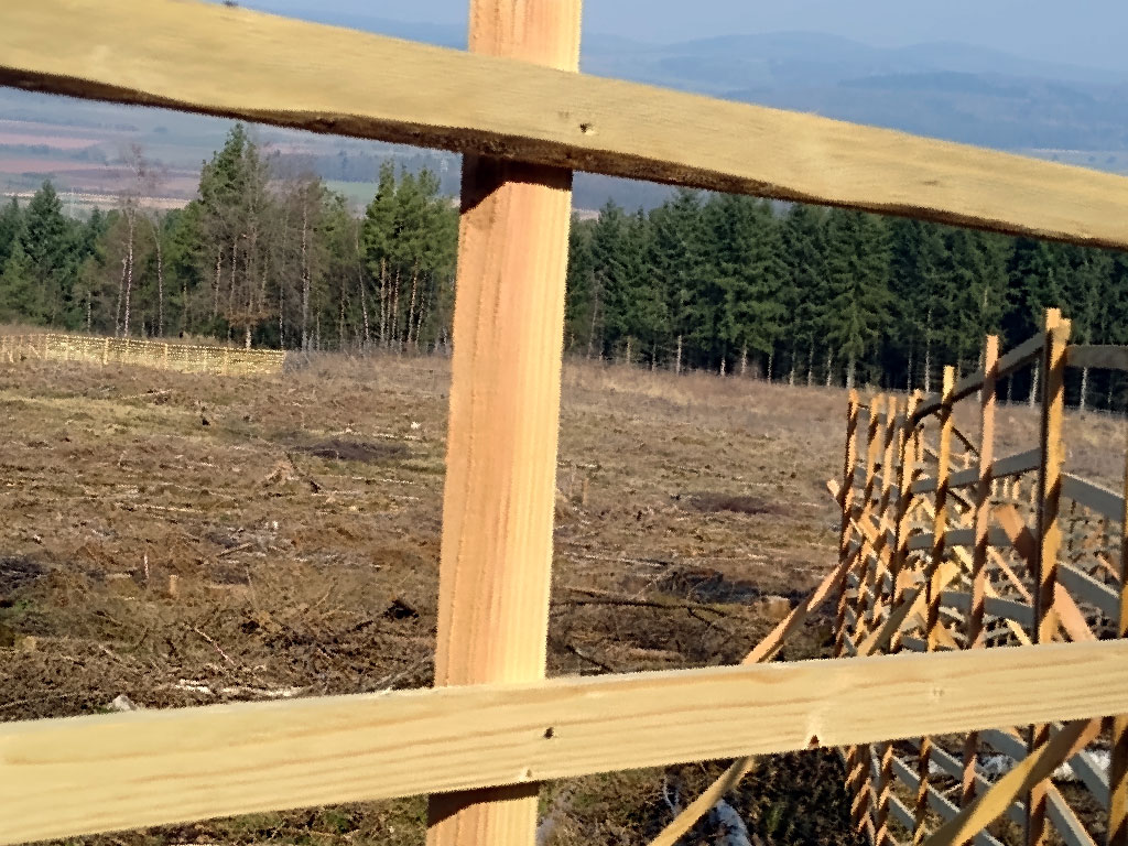 Einladung zur Jahreshauptversammlung 2022