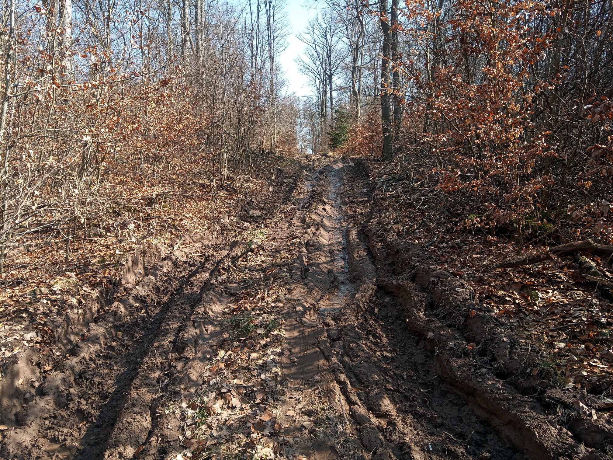 Einladung zur Jahreshauptversammlung 2026